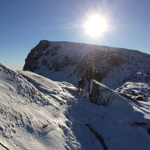 Beinn Tarsuinn in the winter sun